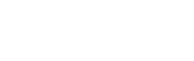 Salto logo